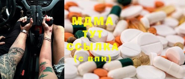 PSILOCYBIN Ельня