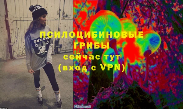 PSILOCYBIN Ельня