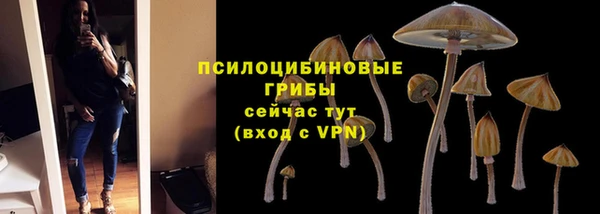 PSILOCYBIN Ельня