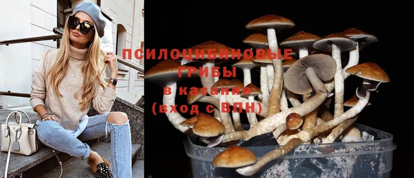 кокс Заводоуковск