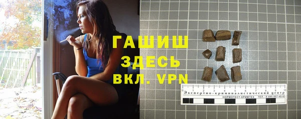 PSILOCYBIN Ельня