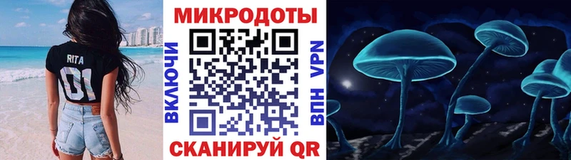 что такое наркотик  Заводоуковск  Псилоцибиновые грибы Psilocybine cubensis 