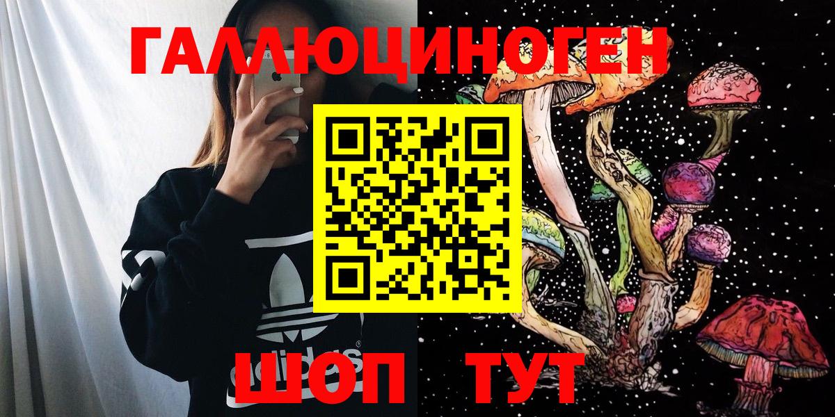Заводоуковск  Псилоцибиновые грибы Psilocybe  Вход с VPN  цена наркотик  Галлюциногенные грибы Psilocybine cubensis 